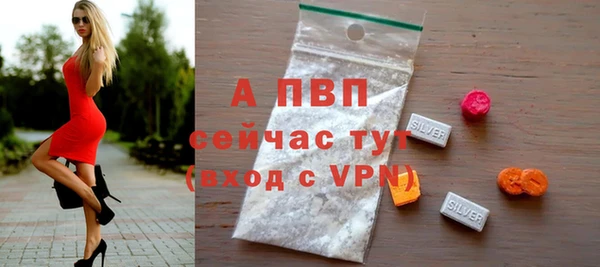 прущие грибы Зеленодольск