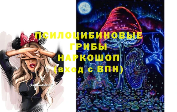 индика Инсар
