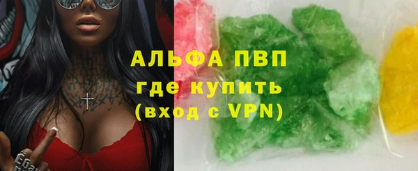 прущие грибы Зеленодольск