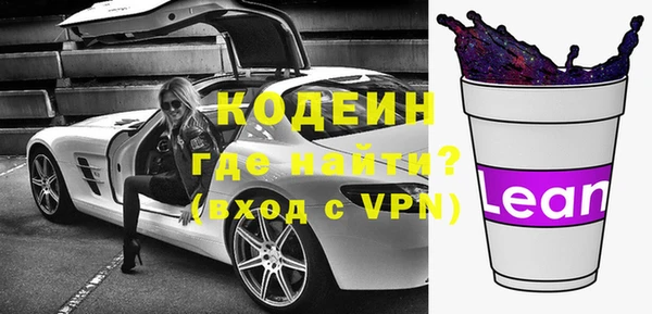 индика Инсар