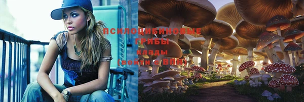 прущие грибы Зеленодольск