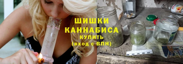прущие грибы Зеленодольск