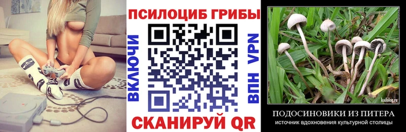 Галлюциногенные грибы Magic Shrooms  Купить где  Южа 